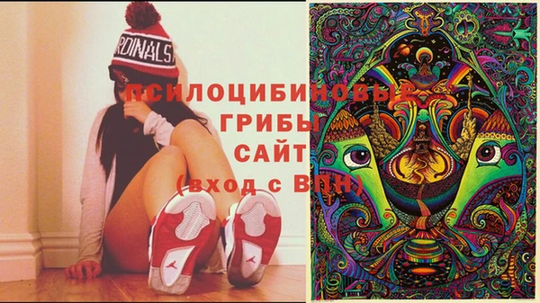 дмт Вязьма