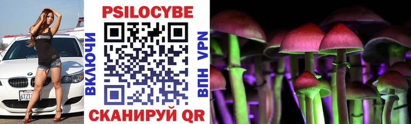 mega ТОР  Горячеводский  Псилоцибиновые грибы Psilocybe 